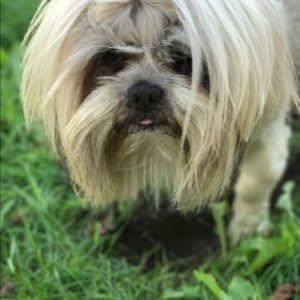 Meet your Posher, Leslie